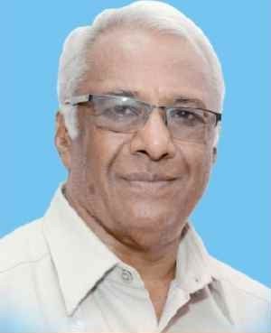 Vice President Photo